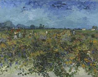 The Green Vineyard