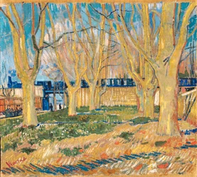 Avenue of Plane Trees near Arles Station