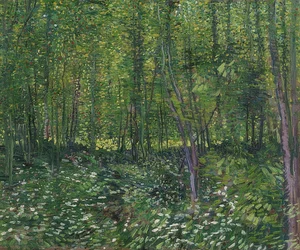 Trees and Underbrush. 1887