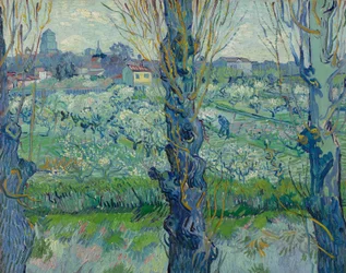 View of Arles