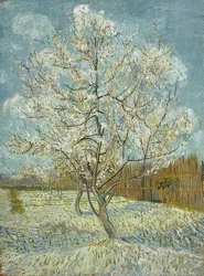 Blooming Peach Tree (Pink)