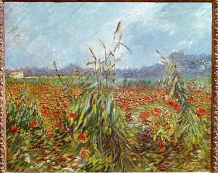 Cornfields and Poppies