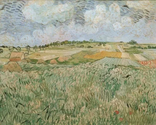 The Plain at Auvers with Rain Clouds