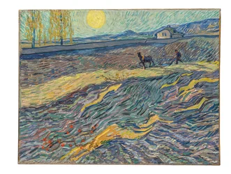 Farmer in a Field
