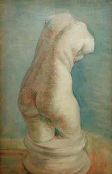Plaster Torso (female) from the Back
