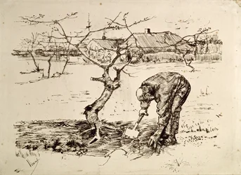 In the Orchard
