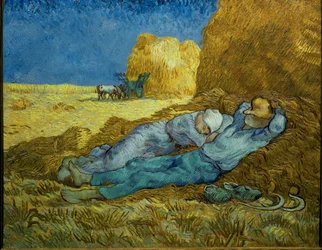 The Siesta