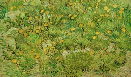 The Dandelions