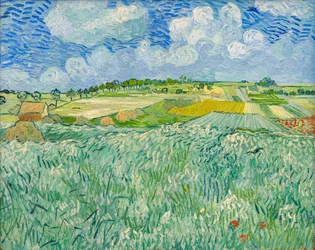 Plain near Auvers