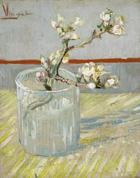 Sprig of Flowering Almond in a Glass