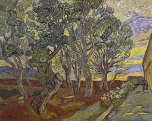 The garden of Saint Paul