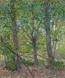 Trees