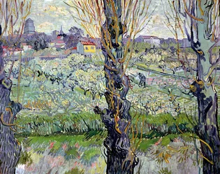 View of Arles