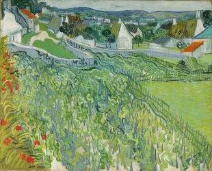 Vineyards in Auvers