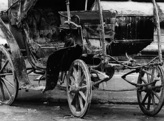 Carriage ruined by the mud after the flood of Florence, November 1966