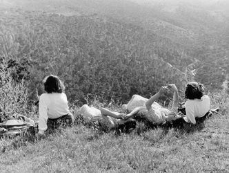 Chatting on the Grass