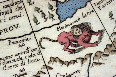 Representation of a manticore, a fantastic creature with a human head (often with horns, blue eyes and three rows of teeth), a scorpion or dragon tail and a lion