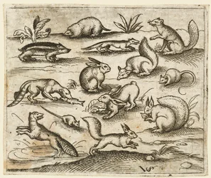 Group of Small Woodland Creatures Eating and Running Around a Pond, including a Mouse, 1557
