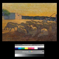Sunset with Sheep