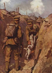 The wanderer sprang towards his master with delight