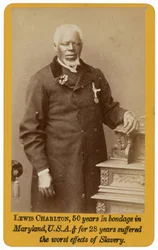 Lewis Charlton, 1884
