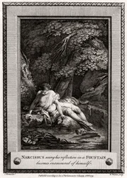 Narcissus seeing his reflection in a Fountain, 1775