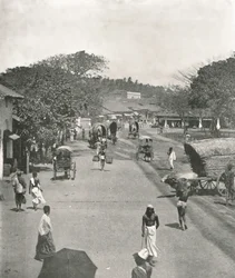 Street Scene Near the Town Hall, Colombo, Ceylon