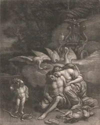 Adonis dies in the arms of Venus