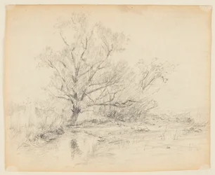 Sketch of Landscape