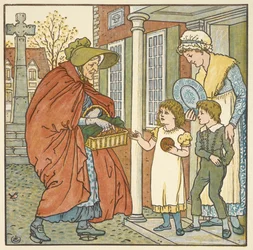 Colour illustration for 