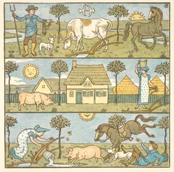 Colour illustration for 