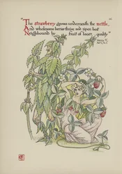 Flowers from Shakespeare