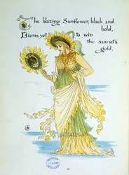 The Sunflower (Sun) Personified in a Young Woman Dressed in Yellow and Green, Plate 36 from 