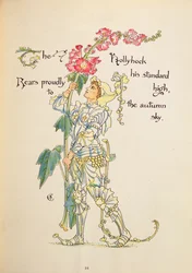 The Hollyhock from the 