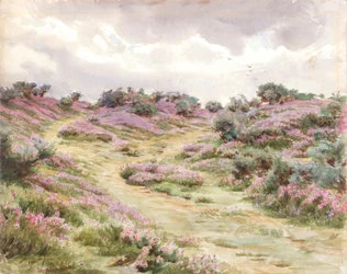 Bell Heather on Setley Plain