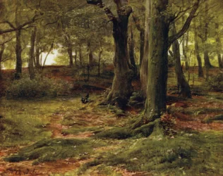 The New Forest: The Hill Woods, Lyndhurst