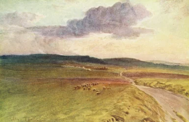 Wessex: Near Maiden Castle, Dorchester