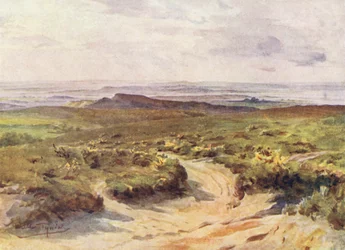 Wessex: Studland Heath, Poole Harbour in the Distance