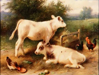 Feeding Time