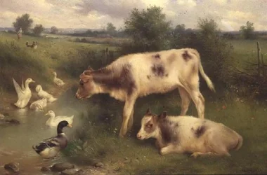 The Duck Pond