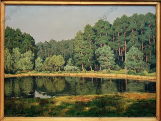 Forest Landscape with a Lake in the Mark