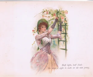 Half light, half shade, illustration from Tennyson Pictures