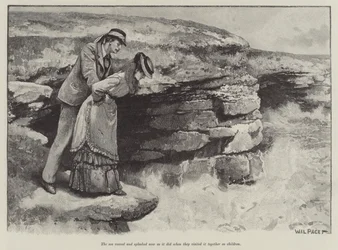 The Pursuit of the Well Beloved, by Thomas Hardy