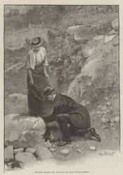 The Pursuit of the Well Beloved, by Thomas Hardy