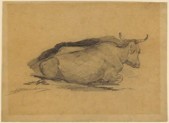 Study of a Lying Cow
