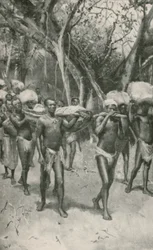 The Followers of Dr. Livingstone Carry His Embalmed Body to the Coast