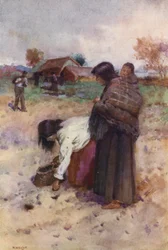 New Zealand: Planting Potatoes