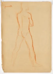 Male Back Nude