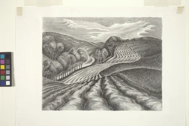 Ploughed Fields