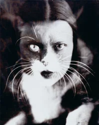 Cat and I